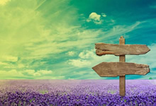 饮食养生：发菜老藕